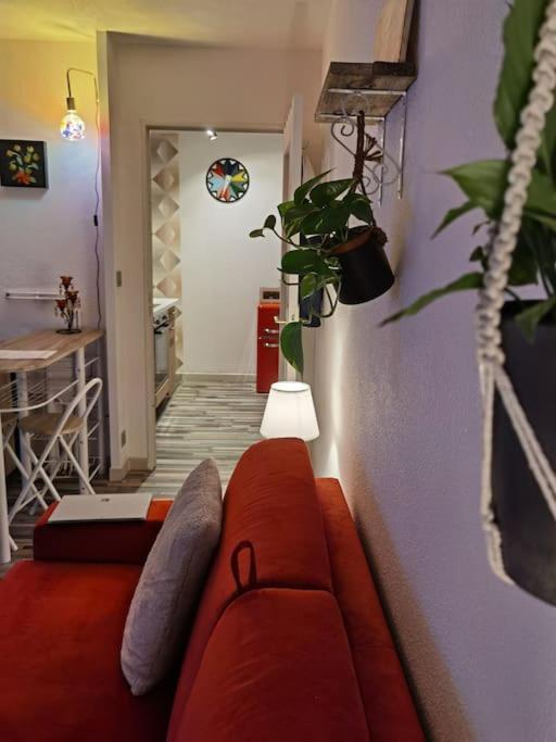 Cosy T1Bis Proche Centreville, Petit Port, Audencia Nantes Bagian luar foto